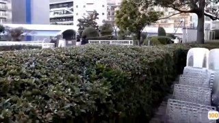 师范学院校花想赚零花钱，接受了富二代小伙的高价约啪，舔的肉棒硬爆~